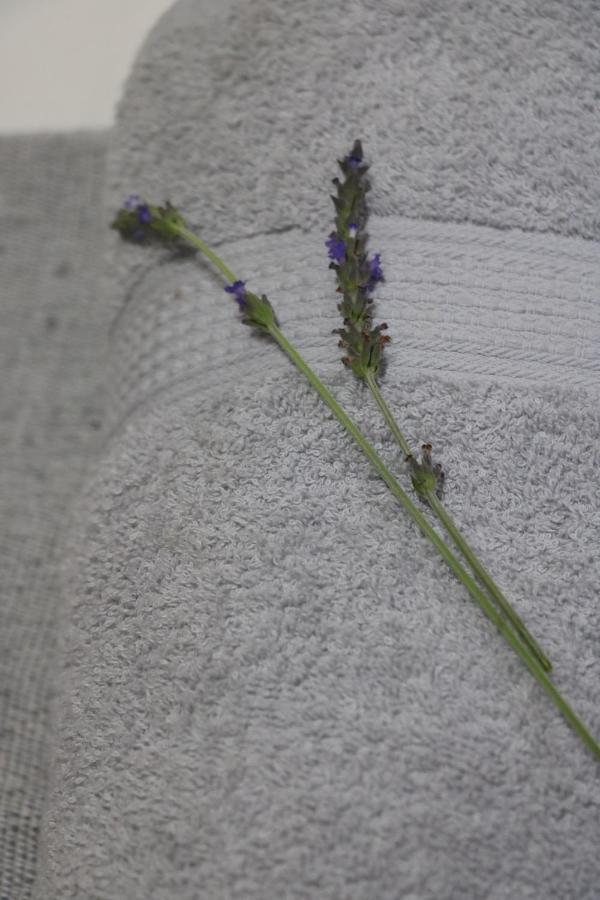 Lavender Lane Queenstown Leilighet Eksteriør bilde